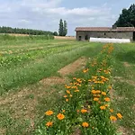 Beaulieu Saint-Come (Gironde)
