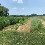 Beaulieu Вилла Saint-Come (Gironde)