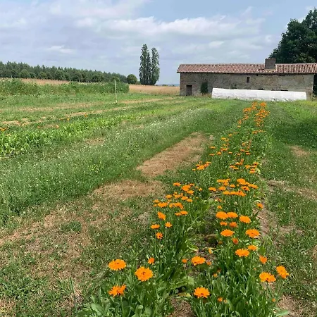 Beaulieu Saint-Come (Gironde)