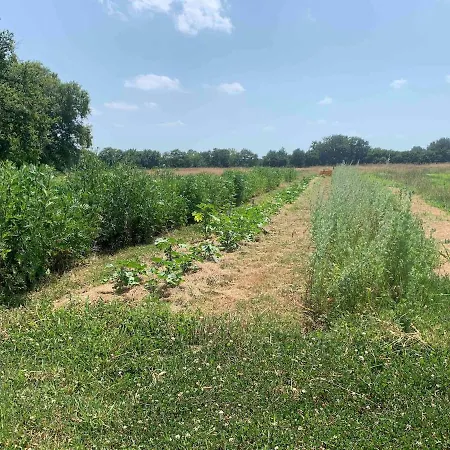 Beaulieu Villa Saint-Come (Gironde)
