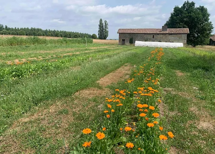 Beaulieu Saint-Come (Gironde)