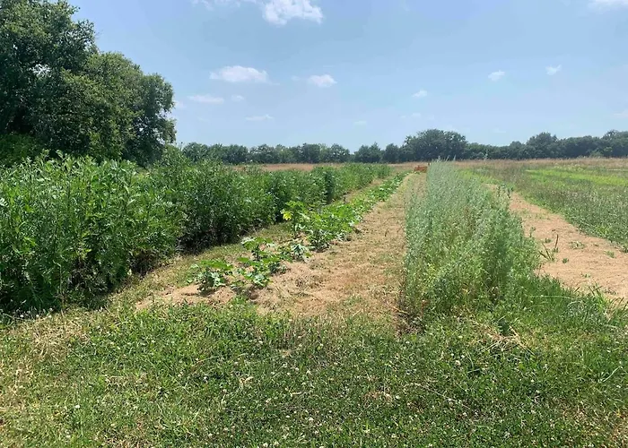 Beaulieu Vila Saint-Come (Gironde)